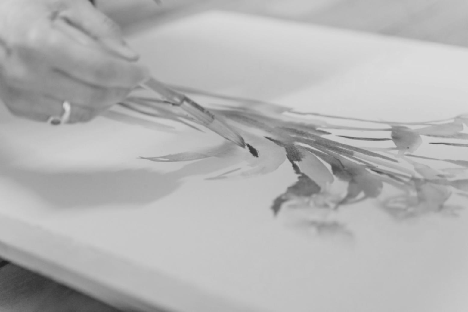 Drawing workspace with advanced technique demonstrations